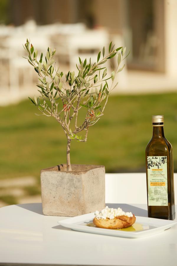 Acantha Boutique Hotel Ereikoussa エクステリア 写真